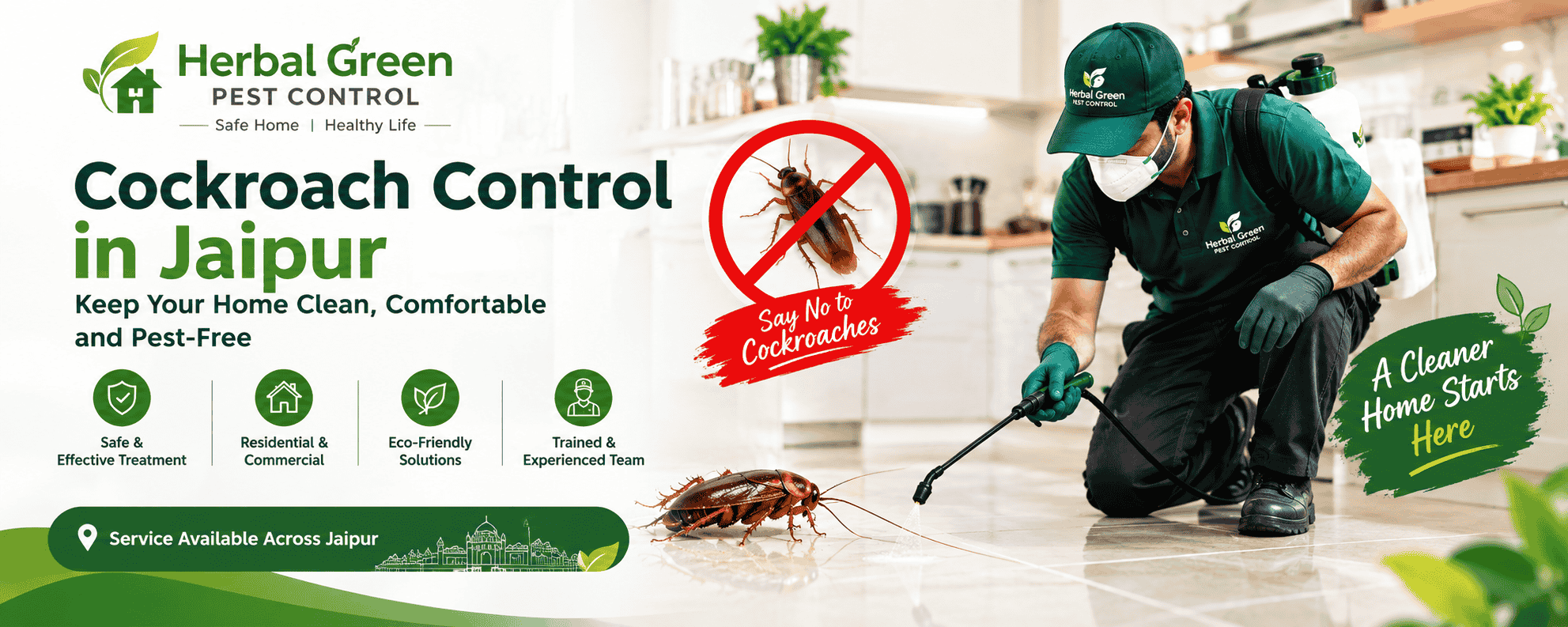 Cockroach Control in Jaipur