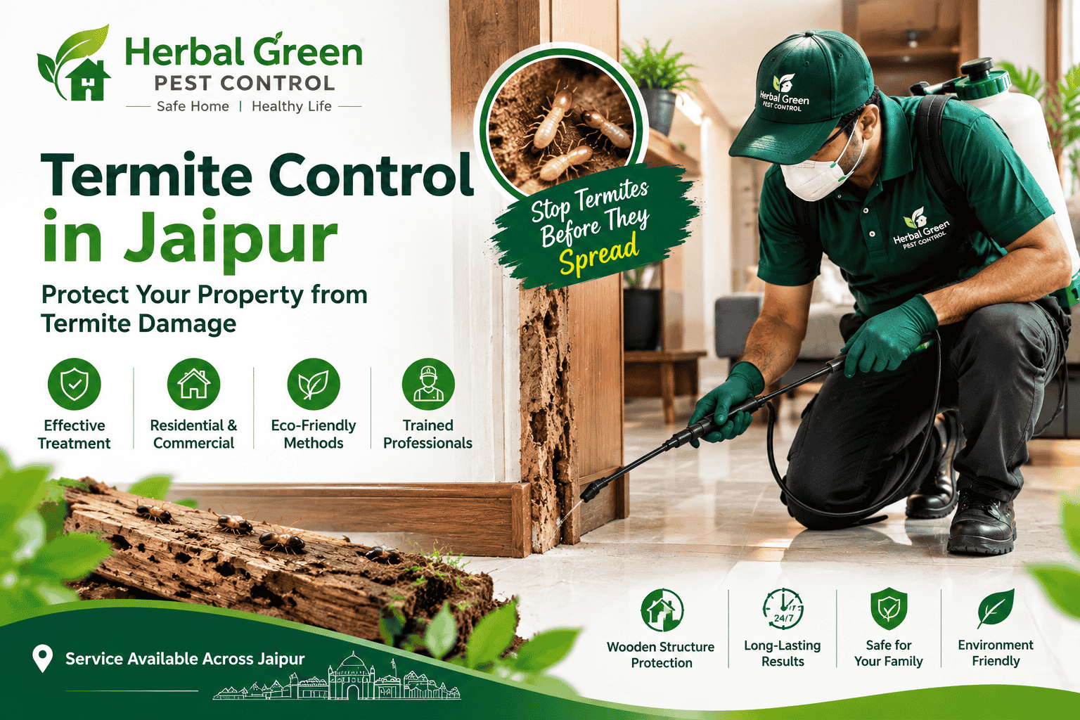 Termite Control in Jaipur